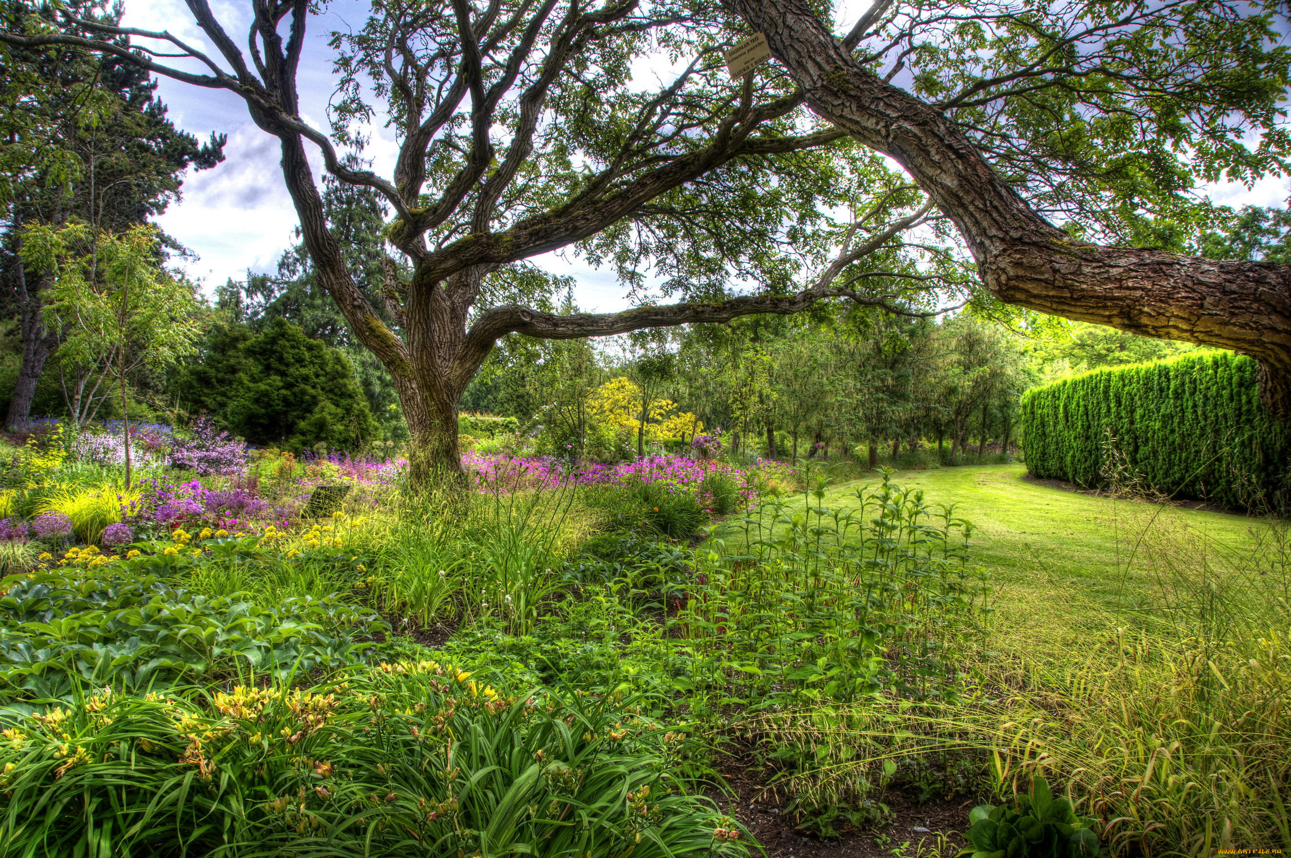 vandusen, botanical, garden, vancouver, , , 